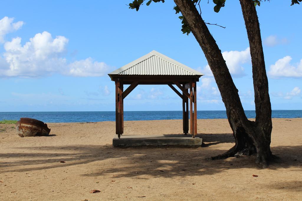 Oasis De Grande Anse Βίλα Deshaies Εξωτερικό φωτογραφία