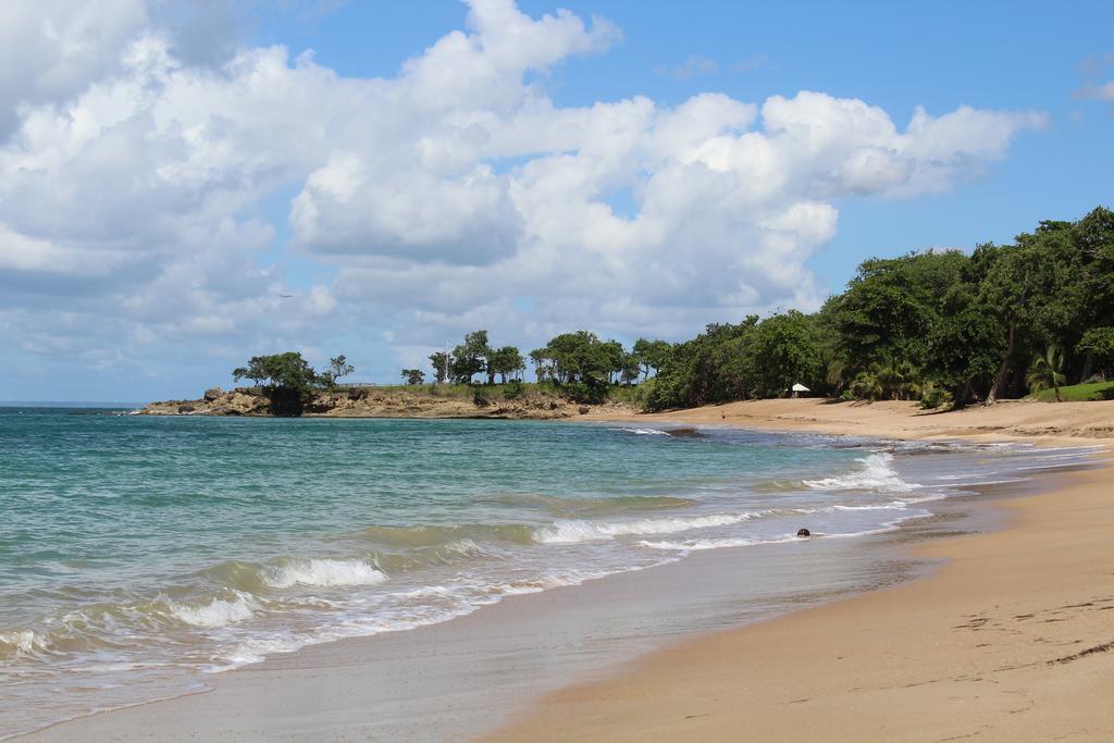 Oasis De Grande Anse Βίλα Deshaies Εξωτερικό φωτογραφία